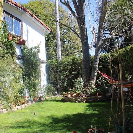 Stylish Mediterranean Villa, Pool, Jacuzzi, Hollywood & Malibu Bliss 洛杉矶 外观 照片